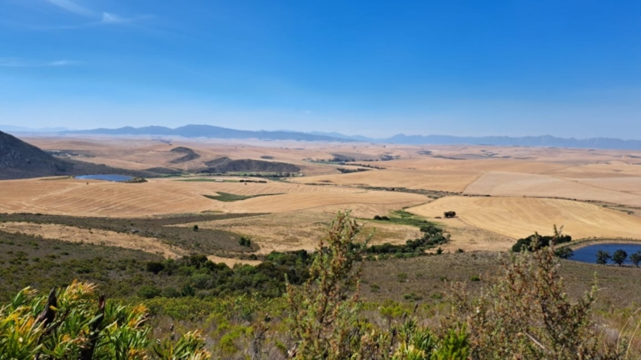 0 Bedroom Property for Sale in Caledon Rural Western Cape